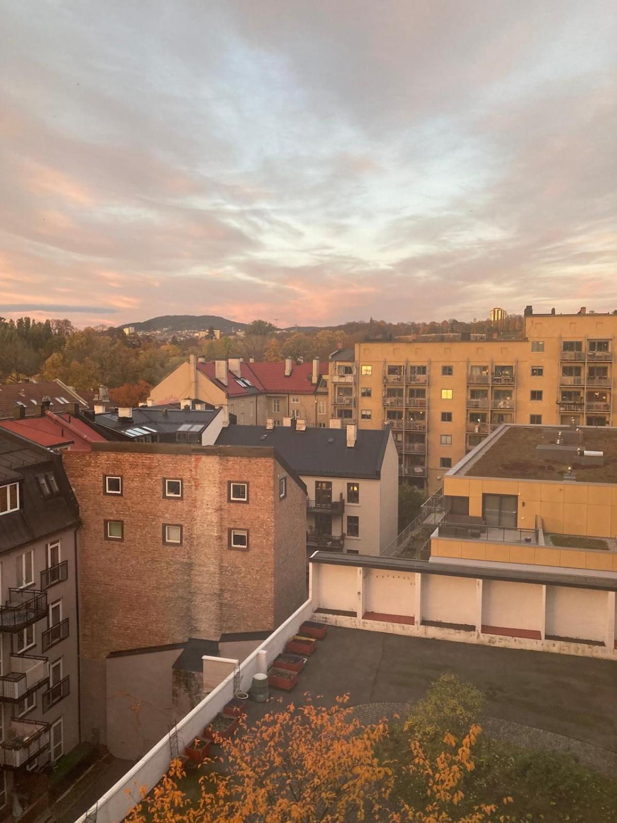 The Nest - Feels Like - Quiet And Bright * Oslo